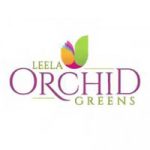 orchid
