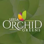 orchid-green